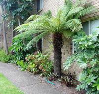 Beachfront Apartments - Tourism Brisbane