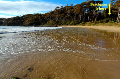 Beachgum - Tourism Brisbane 2