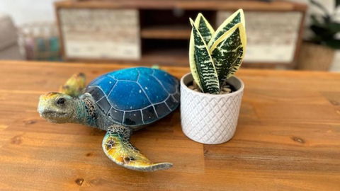 Relax At The Park - Tourism Brisbane 3