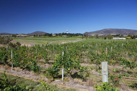 Riversdale Estate Cottages - Tourism Brisbane 1