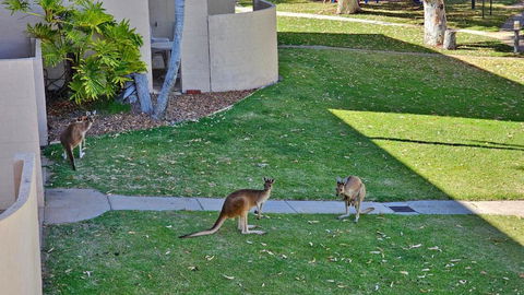 Riverview Holiday Apartment 90 - Kalbarri WA - Tourism Brisbane 0