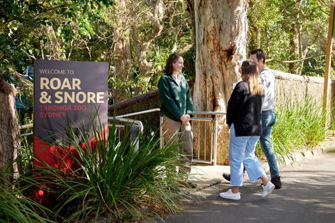 Roar And Snore - Brisbane 4u 1