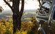 Romantic Luxury Tiny Home In An Idyllic Setting - thumb 1