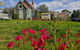 Romantic Stay By Historic Church On Wine Route - thumb 0