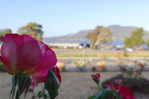 Rose Retreat With Water Front View At Montrose - Tourism Brisbane 3