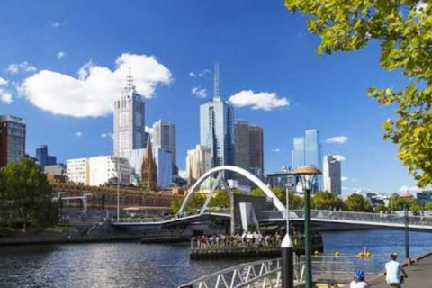 Royal Botanic Garden Yarra River - Tourism Brisbane 3