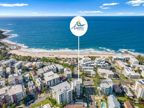 Ryson Unit 7 Kings Beach QLD - Tourism Brisbane 3