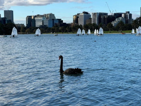 Sand & The City - Brisbane Tourism 2