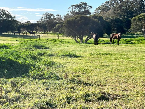 Secluded Rural Retreat In Southwest WA - Tourism Brisbane 3