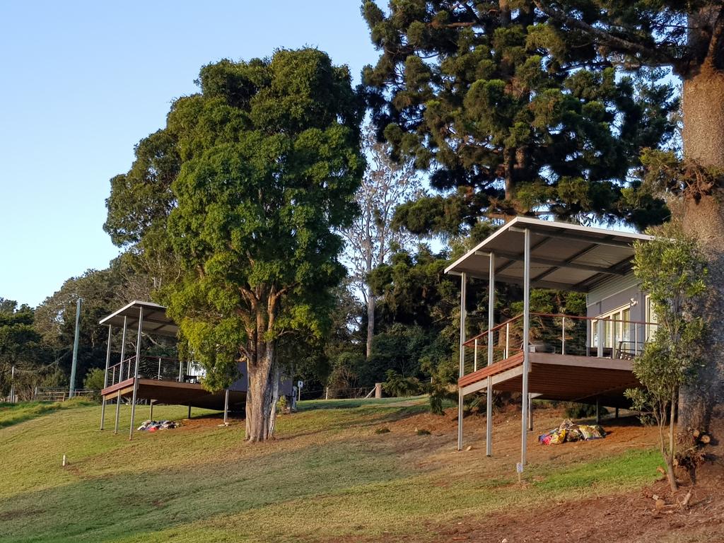 Beechmont QLD Tourism Brisbane
