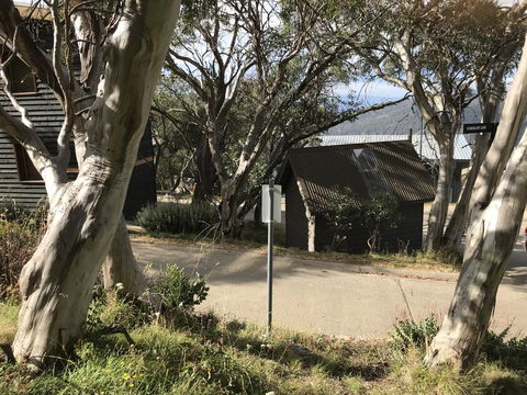 Beehive 18 - Tourism Brisbane 1