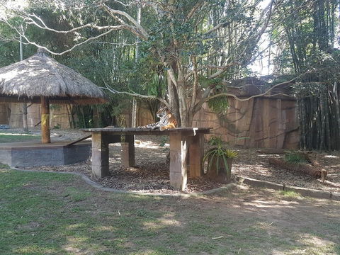 Beerwah House - Tourism Brisbane 3