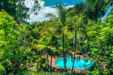 Bella Vista Bellingen - Tourism Brisbane 1