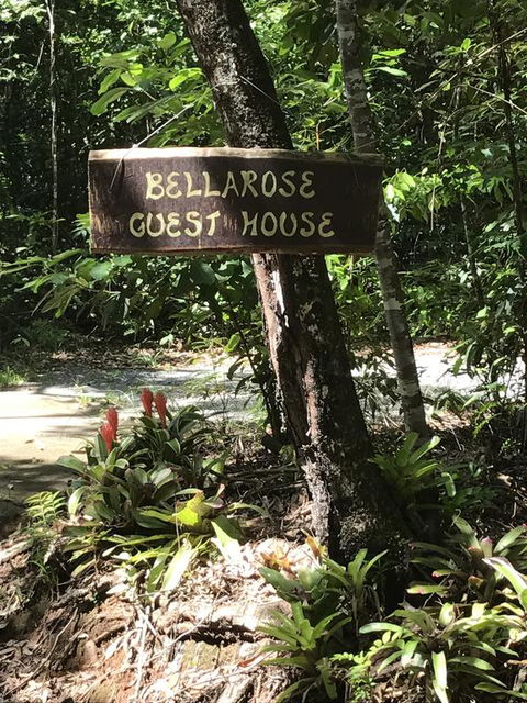 Bellarose Guest House - Tourism Brisbane 3