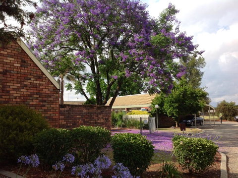 Belvoir Village Motel & Apartments Wodonga - Brisbane Tourism 0