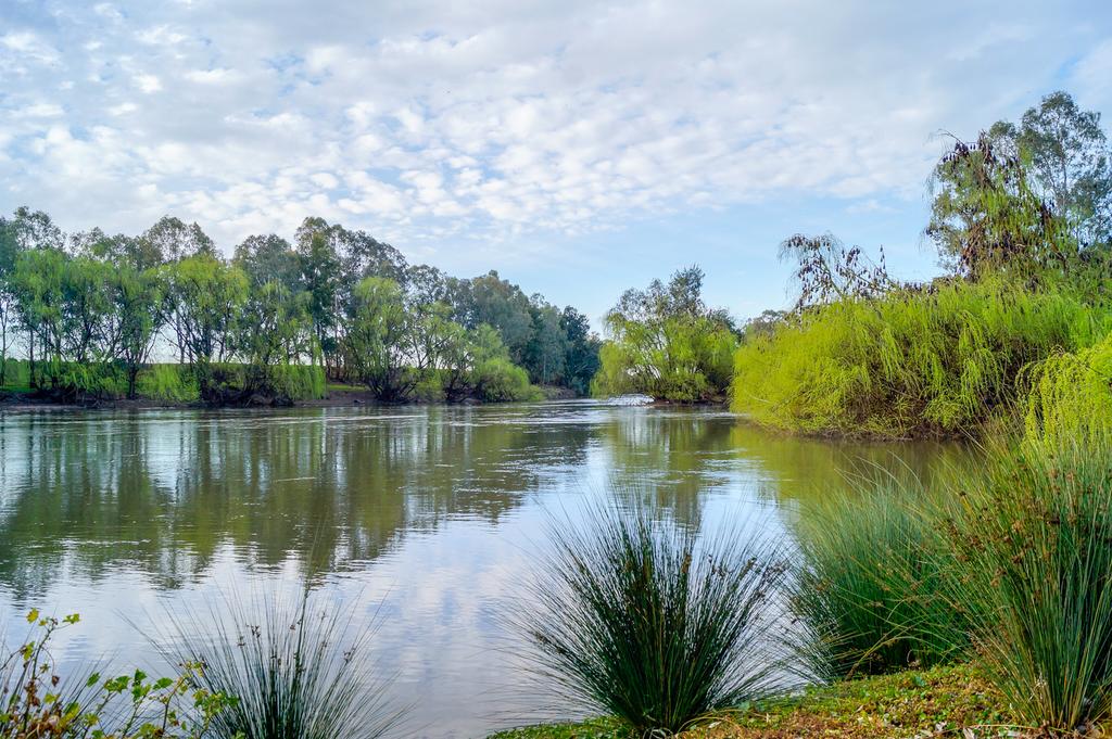 Wallacetown NSW Tourism Brisbane
