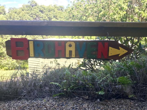 Birdhaven - Tourism Brisbane 1