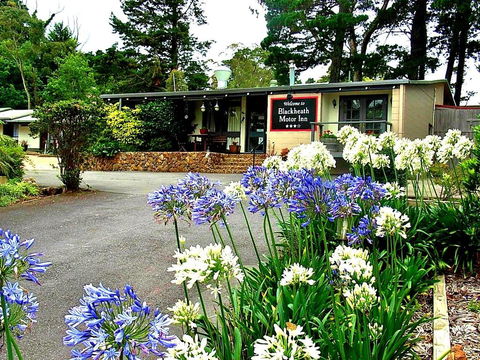 Blackheath Motor Inn - Brisbane Tourism 0