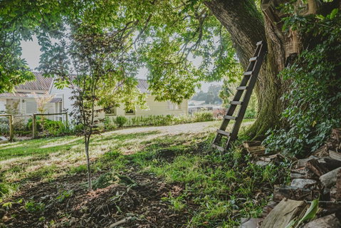 Blacksmiths Cottage - Brisbane Tourism 1
