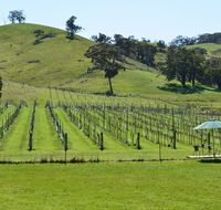 Blue House at Mountainside Wines - Tourism Brisbane