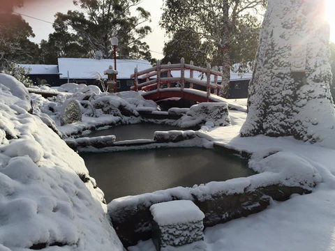 Blue Lake Lodge - Brisbane Tourism 3