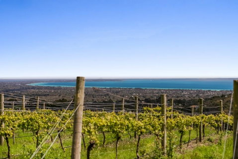 Blue Range Estate Villas - Brisbane Tourism 3