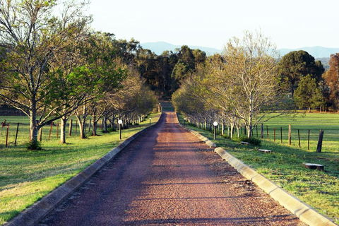 Blueberry Hill Vineyard Villa - Tourism Brisbane 0