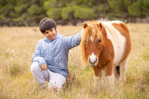 The Little Grove Retreat By Tiny Away - Tourism Brisbane 3