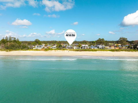 Weedy Seadragon By Experience Jervis Bay - Tourism Brisbane 0