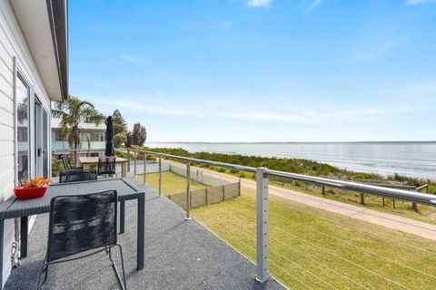 Weedy Seadragon By Experience Jervis Bay - Tourism Brisbane 2