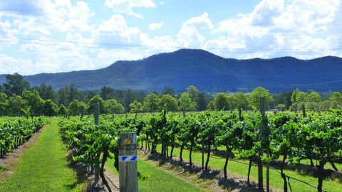 Winmark Wines - Tourism Brisbane 1