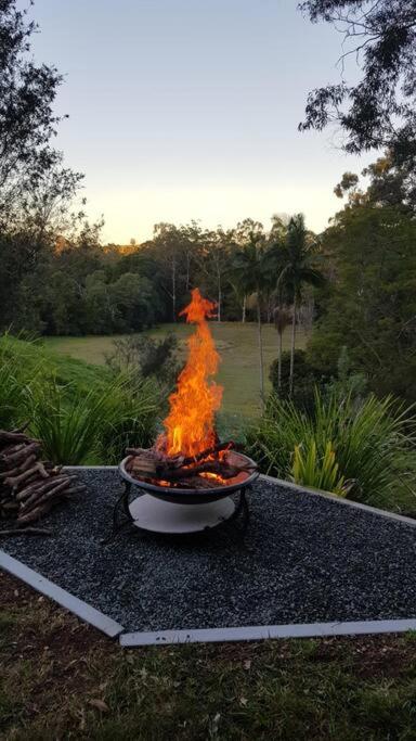 Wolvi Wonderland - Eco Escape - Tourism Brisbane 1