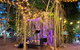 Banyan Tree - thumb 1