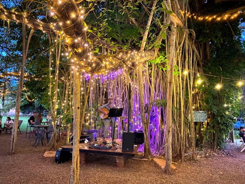 Banyan Tree - Tourism Brisbane 1