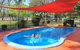 Banyan Tree - thumb 4