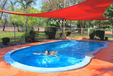 Banyan Tree - Tourism Brisbane 4