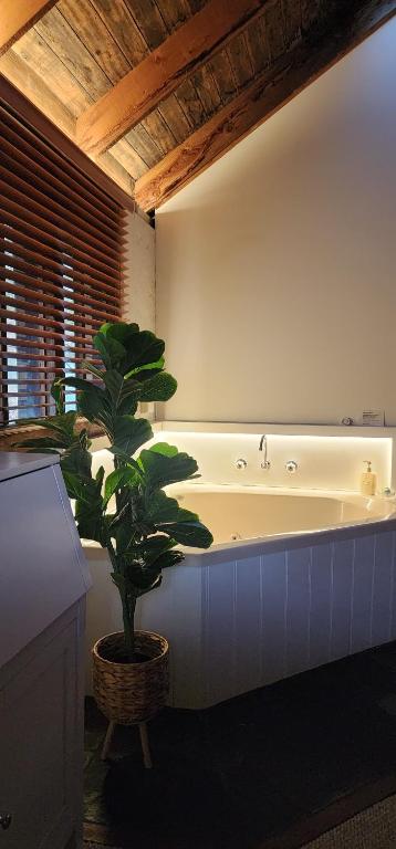 Daylesford - FROG HOLLOW ESTATE - One Bedroom Retreat Villa - Book For 3 Nights Pay For 2 - Contact Us For More Details - Tourism Brisbane 3