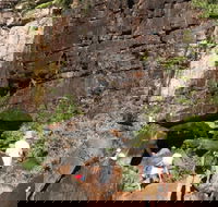 3-Day Kakadu 4WD Camping Safari from Darwin
