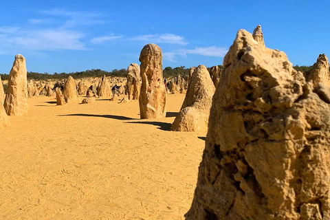 Pinnacles Desert (Private) Day Tour - Tourism Brisbane 0