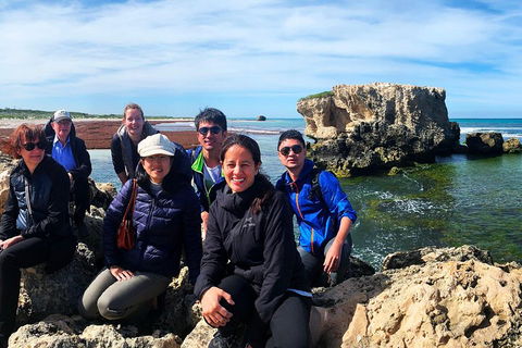 Pinnacles Desert (Private) Day Tour - Tourism Brisbane 4