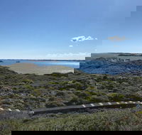Penguin Island And Fremantle - Canoe Chocolate  Coffee - Tourism Brisbane