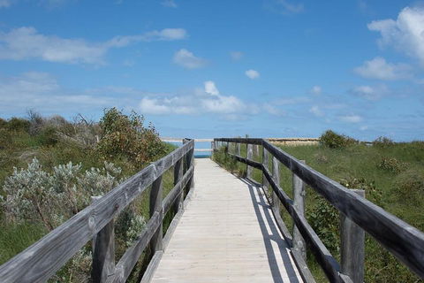Yanchep & Lancelin - Wildlife, Cave And Sands - Tourism Brisbane 2