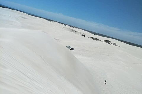 Yanchep & Lancelin - Wildlife, Cave And Sands - Tourism Brisbane 3