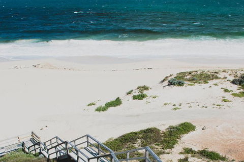 Yanchep & Lancelin - Wildlife, Cave And Sands - Tourism Brisbane 5