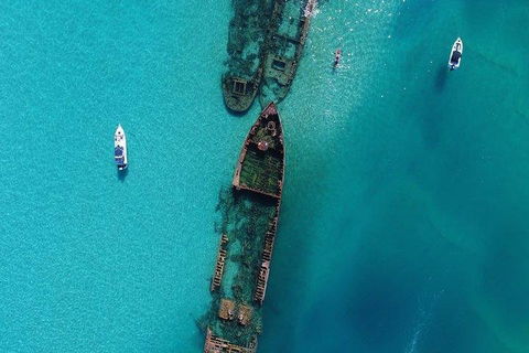 Cruise In Moreton Bay Marine Park And Moreton Island - Tourism Brisbane 1