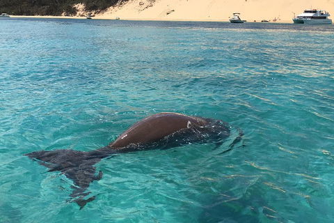 Cruise In Moreton Bay Marine Park And Moreton Island - Tourism Brisbane 2