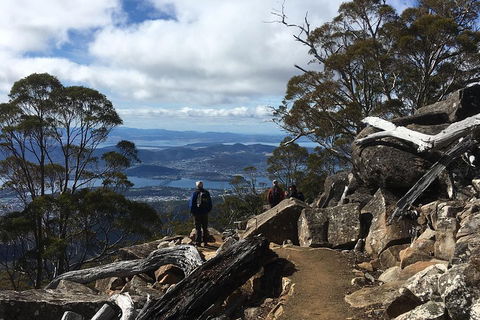 Kunanyi / Mt Wellington Explorer Bus - 2 Hour Return Tour - Tourism Brisbane 0