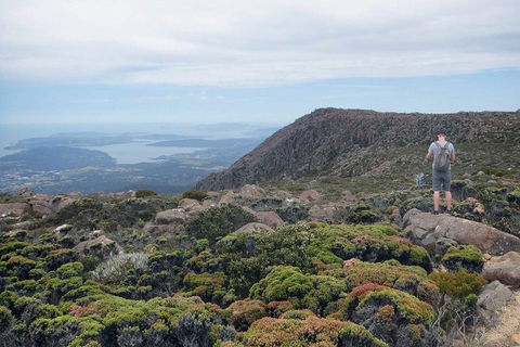 Kunanyi / Mt Wellington Explorer Bus - 2 Hour Return Tour - Tourism Brisbane 3