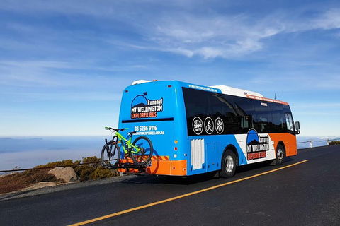 Kunanyi / Mt Wellington Explorer Bus - 2 Hour Return Tour - Tourism Brisbane 4
