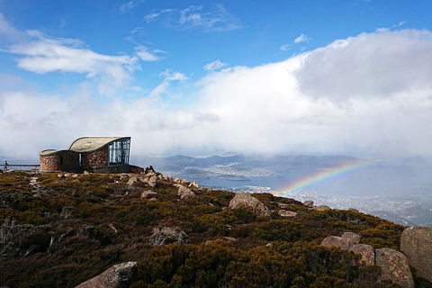 Kunanyi / Mt Wellington Explorer Bus - 2 Hour Return Tour - Tourism Brisbane 5